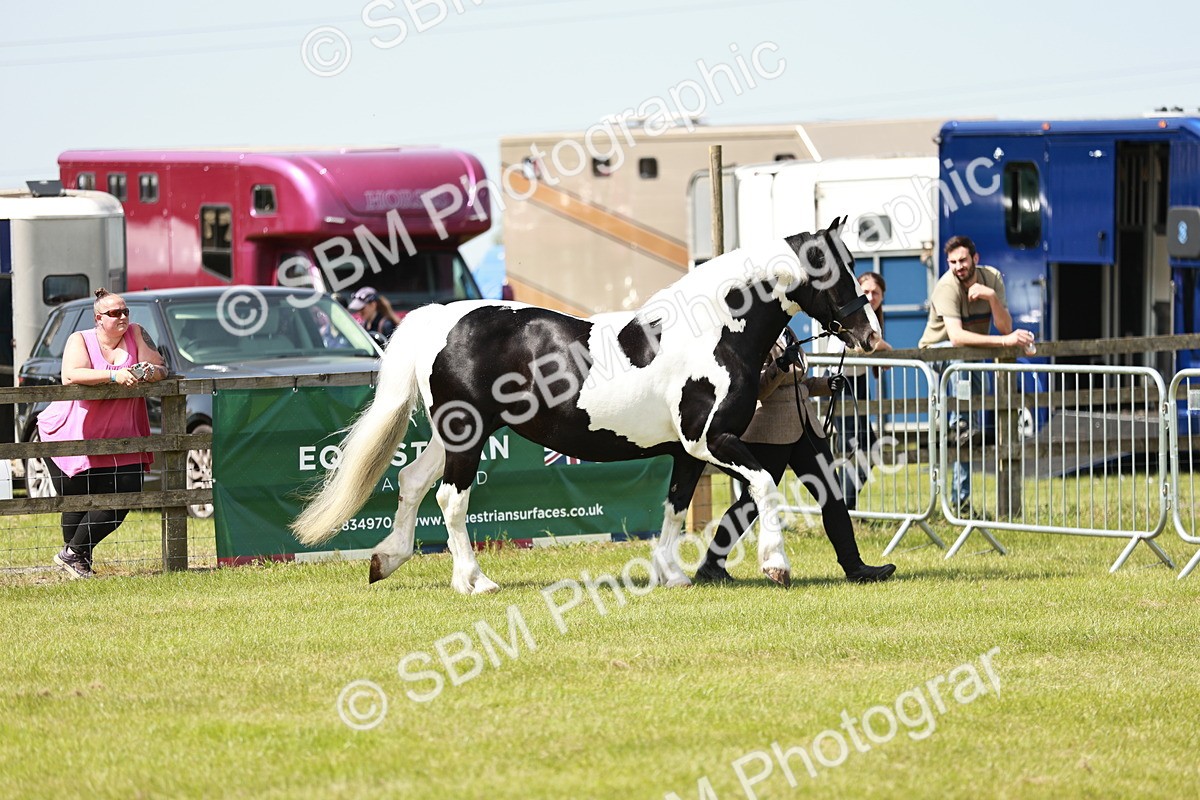 SBM_04116 - Class 39-40 - BSPA Coloured In Hand
