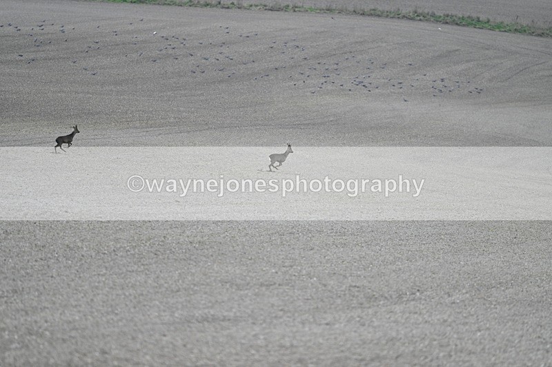 WJ7_7963 - Line 2 A camera