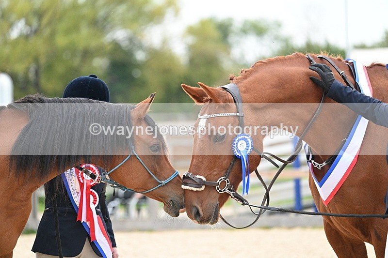 WJ7_1982 - Class 1 & Champs