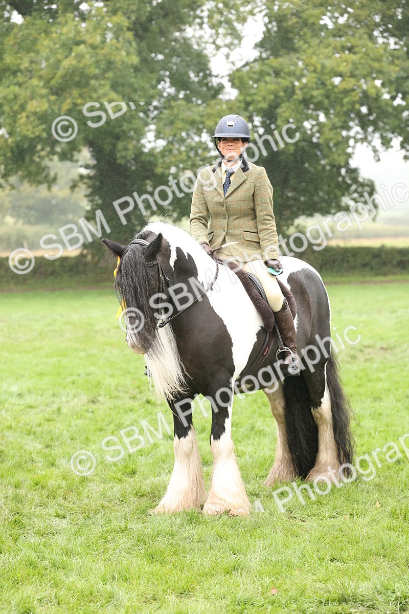 SBM_72860 - S70 - Traditional Cob Ridden