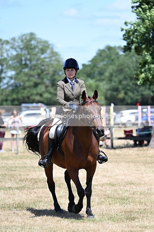 WJ7_3043 - Class 7 Riding Club Show Horse