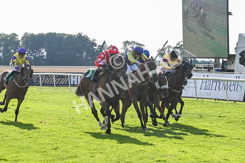 020825-Race 8-Dandy Dinmont-3898 - Race 8