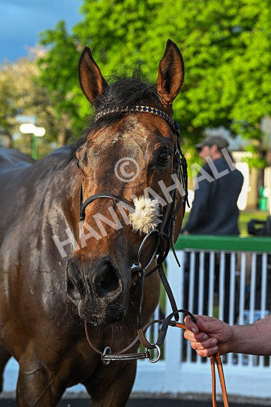 220425-Race 6-Perfectly Timed-9461 - Race 6