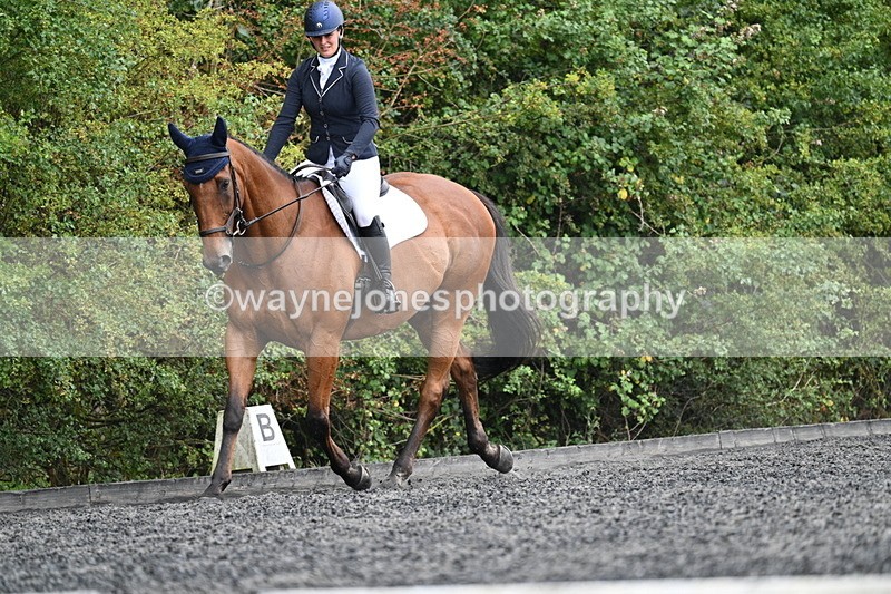 WJ7_6183 - Time 11:38 to 12:03