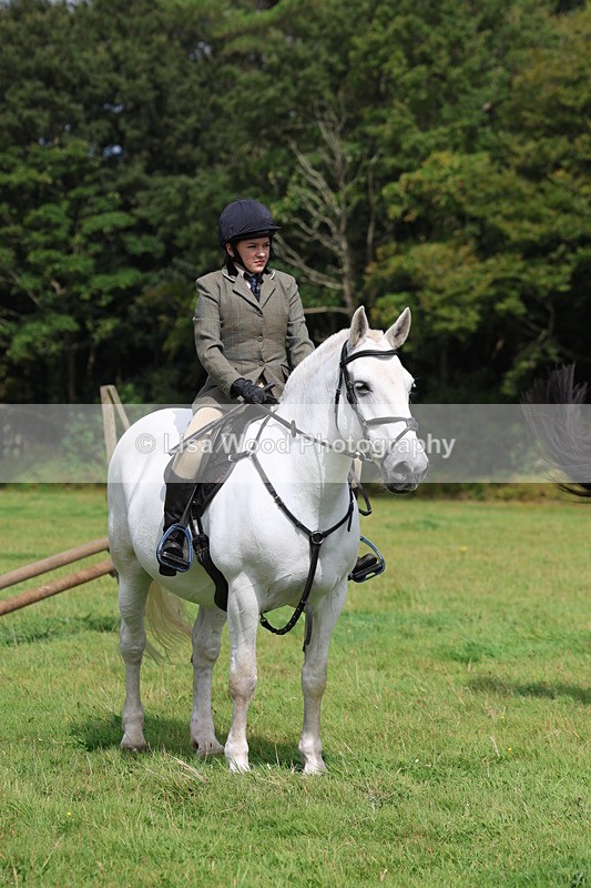 3E7A5891 - Class 26 and 27: 70cm Working Hunter