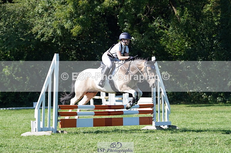 240811A-165650-06481 - 419-