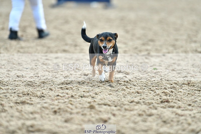 230609A-174319-01936 - Jolly Jumps Ride and Run