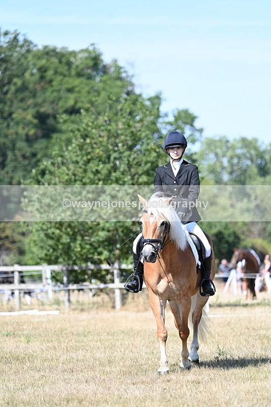 WJ7_0301 - Time 11:33 to 11:44