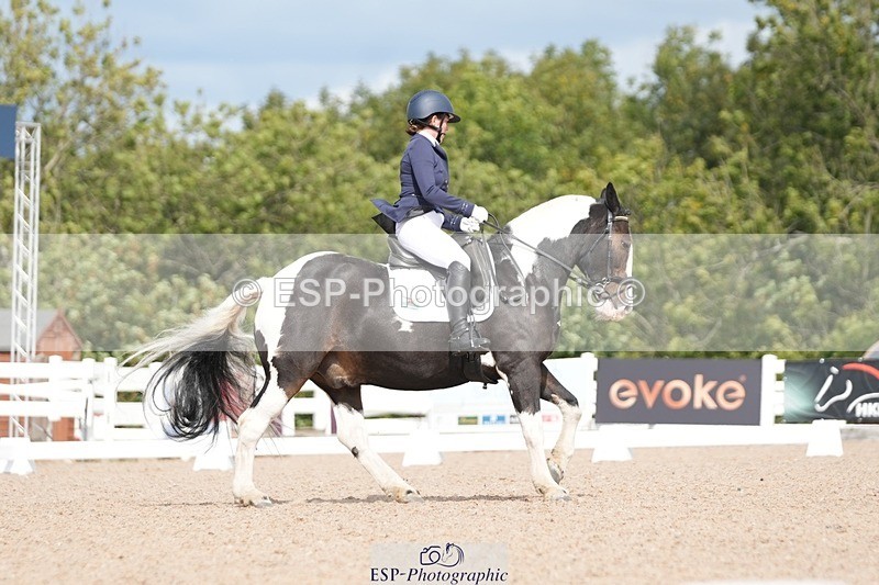 250906-122016-02314 - 082-Samantha.FussellDai.The.Pied