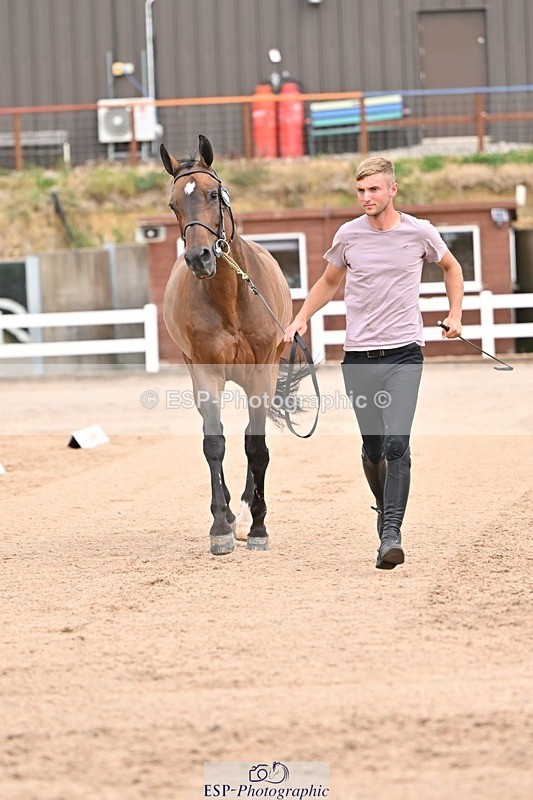 250716-150354-01600 - Trot Up 2.30 to 3.30