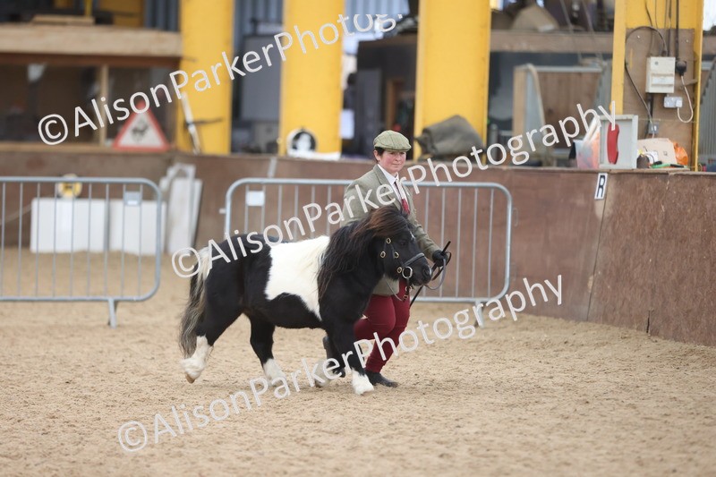 20251109-1225 - Supreme Championship