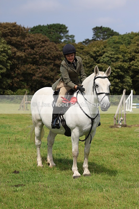 3E7A5915 - Class 26 and 27: 70cm Working Hunter