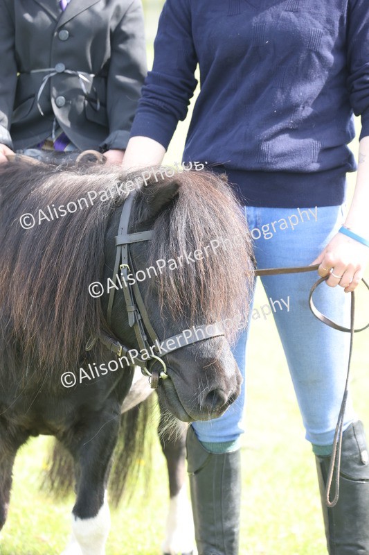 20260426-2485 - Class 31 - Leading Rein