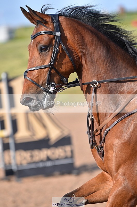 230606A-180320-00280 - 90cm