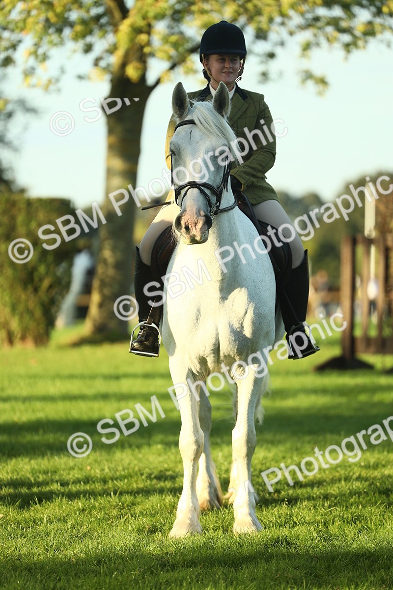 SBM_55555 - S14 - Riding Club Horse