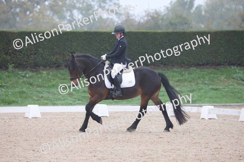 20251012-0446 - Class 3 - Novice 5