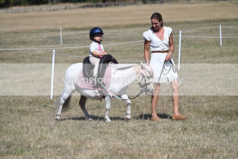 WJ7_1141 - Class 41 Prettiest Mare