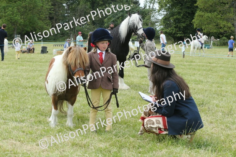 20260614-4284 - Class 18 - Best Junior Handler