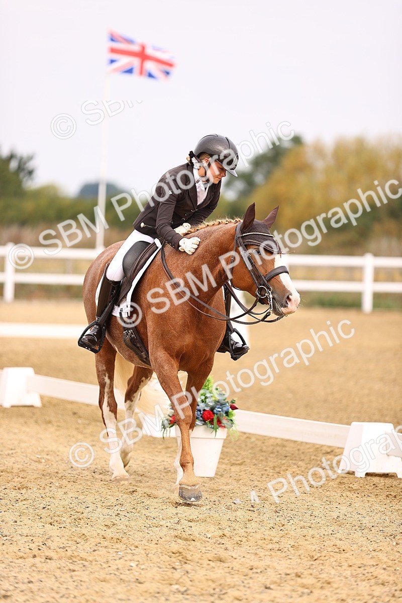 SBM_011543 - Class 1 - Medium 5