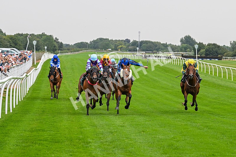 280824-Race 3-Too Much Too Young-4239 - Race 3