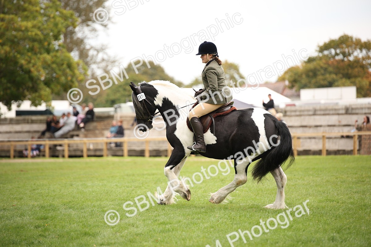 SBM_73493 - S68 - Traditional Cob Ridden