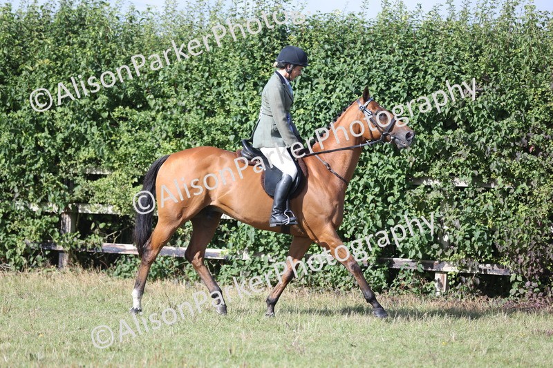20250831-0954 - Class 14 - Ex Racehorse