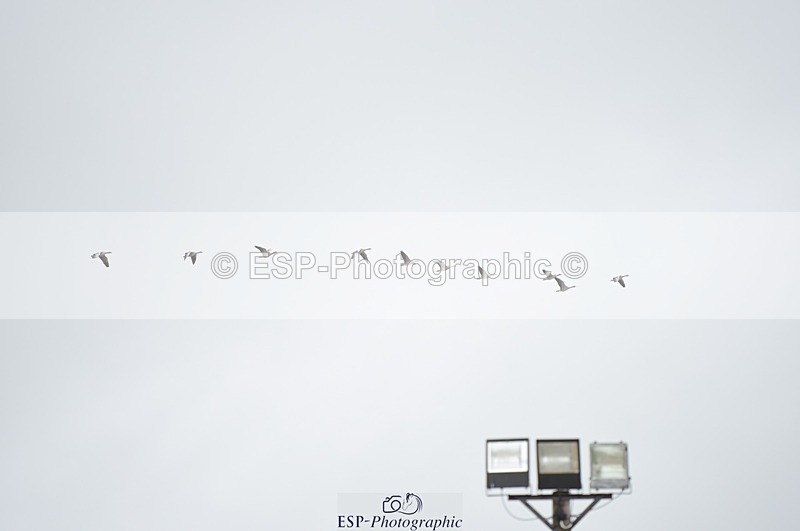 230730-094542-00193 - Class 02 70cm Jumiors