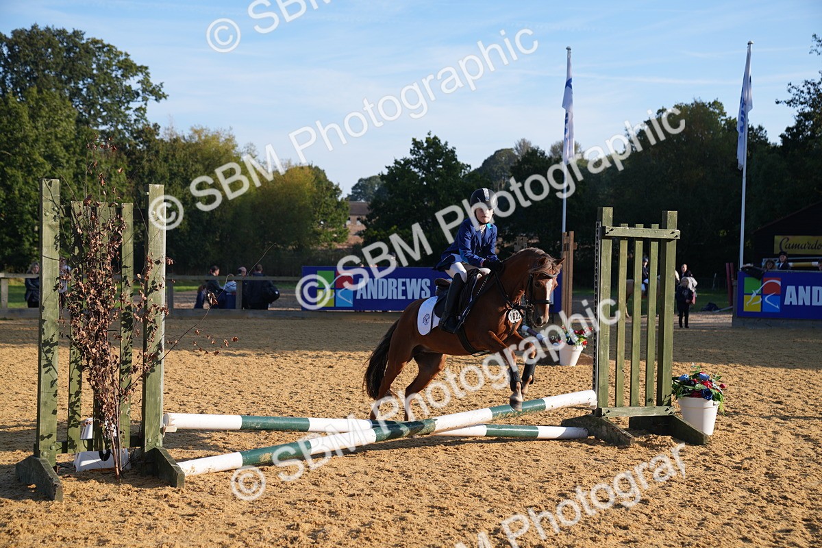 SBM_59025 - J63 - Minis Clear Round 30cm 40cm