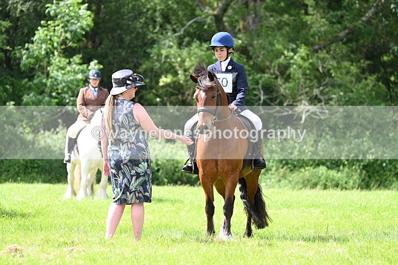 WJ7_1369 - Class 11 Condition & Turnout