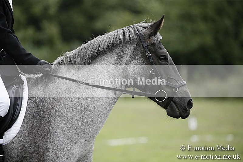 BVR080918 317 - BVRC Novice Dressage & CR 08/09/18