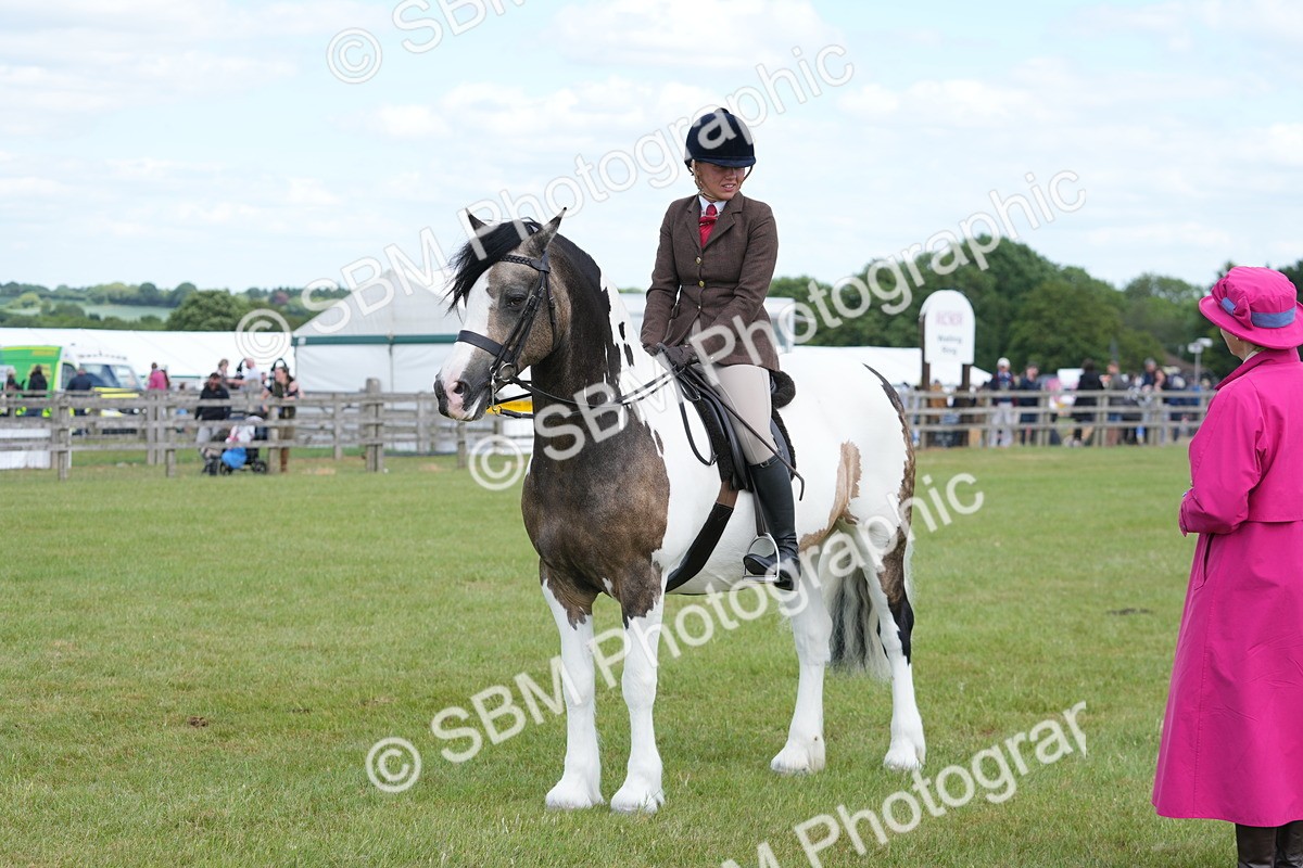 SBM_17217 - Class 107-108 - LIHS BSPS Performance Coloured Horse Pony