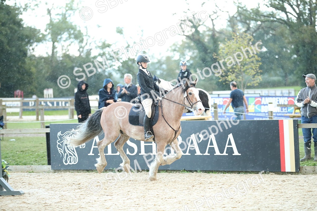 SBM_53808 - Supreme Championship 65cm 70cm