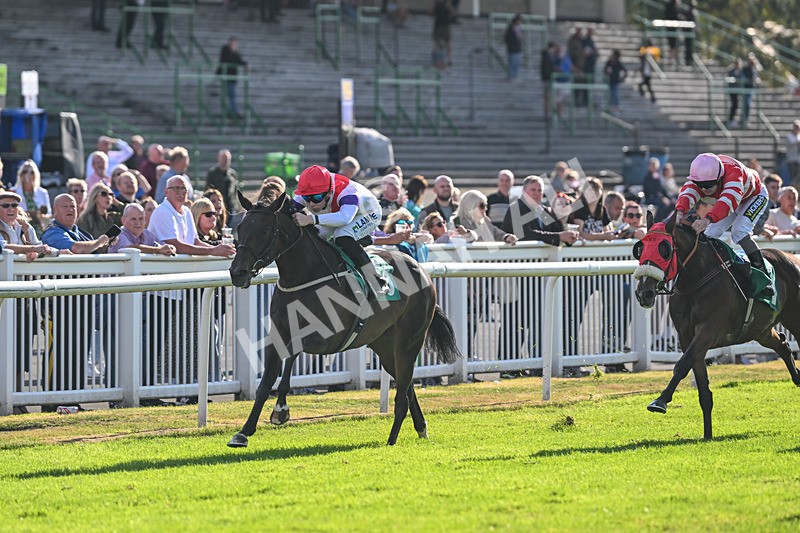 290825-Race 7-Crocus Time-9266 - Race 7