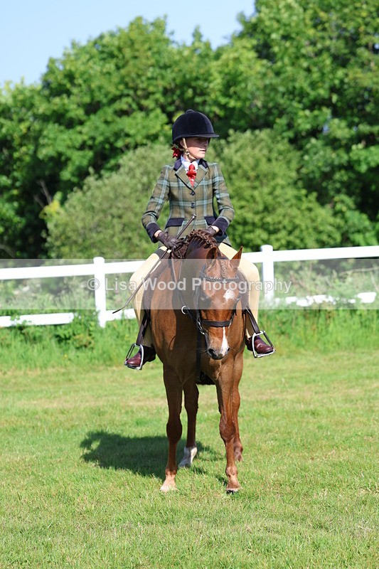 3E7A6021 - Class 27: Novice Working Hunter Pony