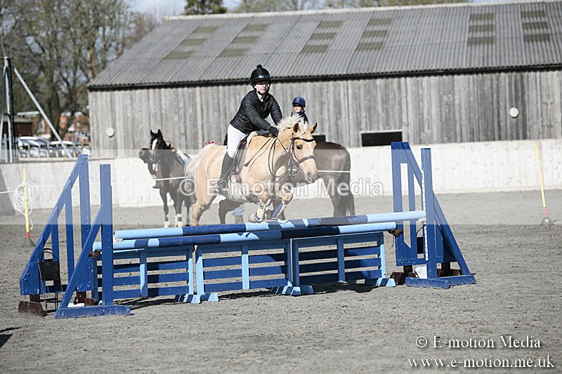 BVRC SJ 170319 519 - Bourne Valley Riding Club Showjumping 17/03/19