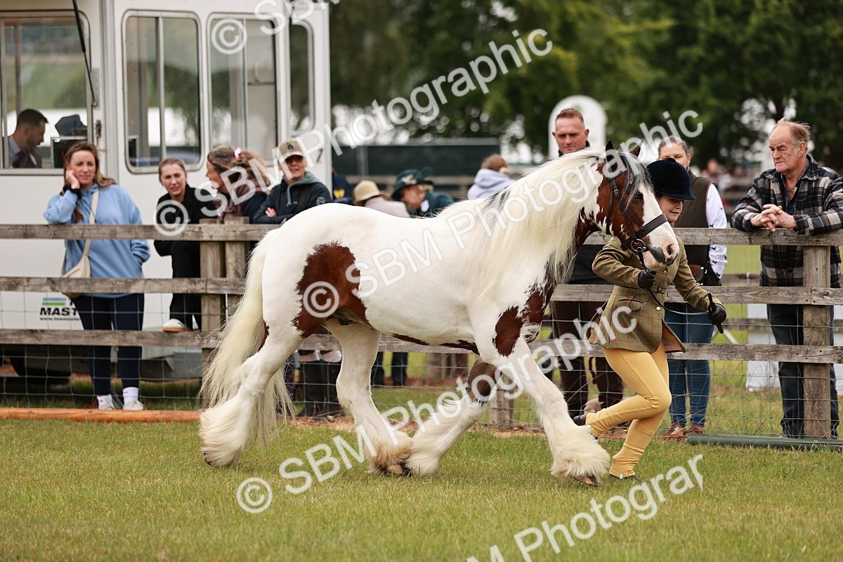 SBM_06037 - Class 39-41 TGCA In Hand and Ridden