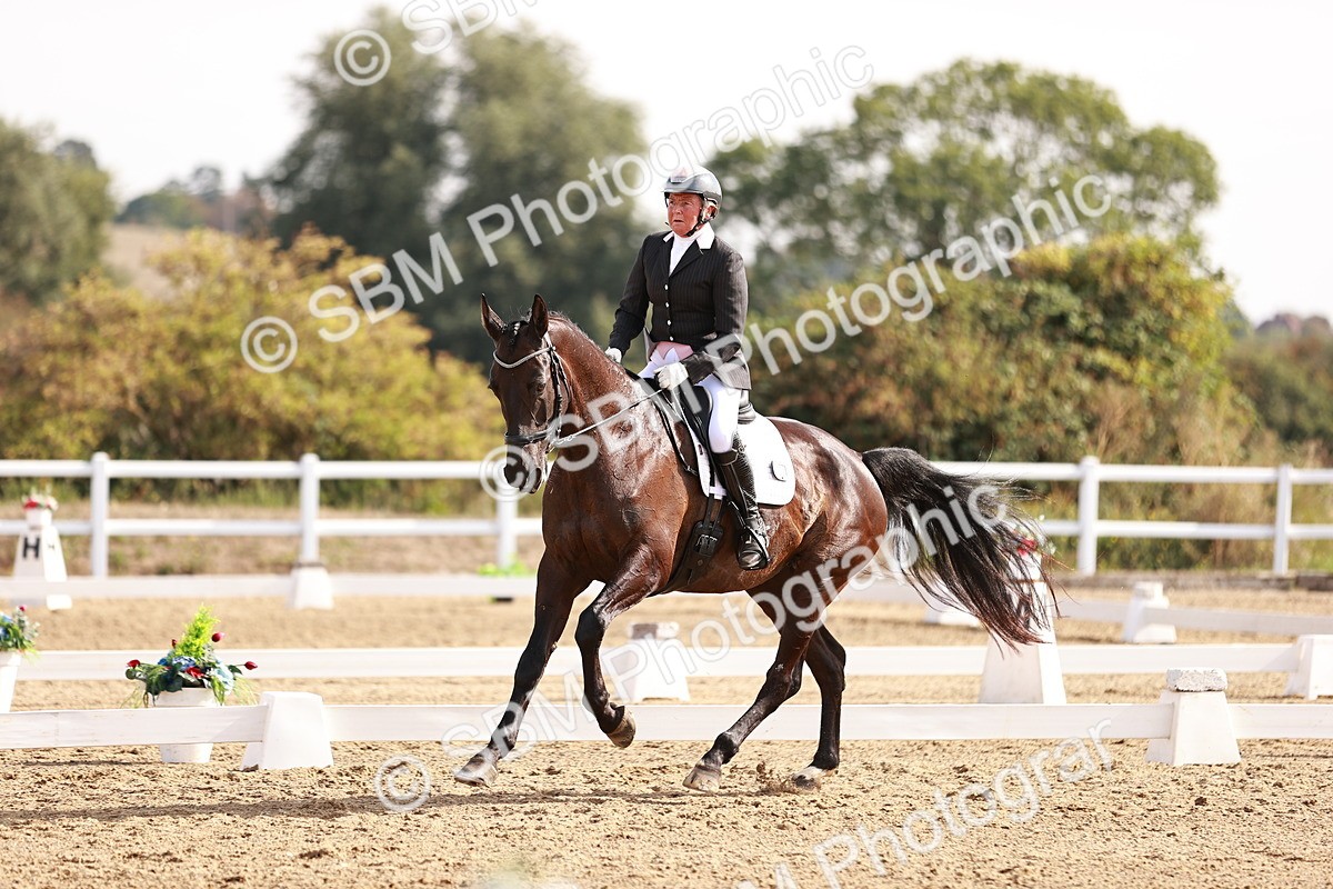 SBM_016994 - Class 10 - Medium 6