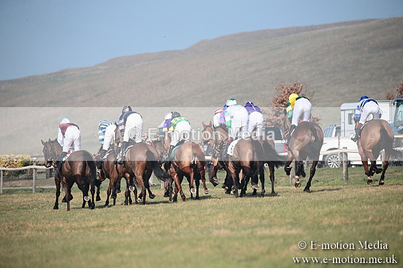 PtP 230219 79 - Vine & Craven Point-To-Point - Barbury 23/02/19
