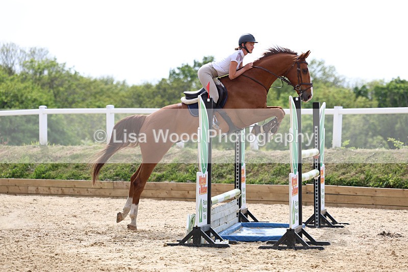 3E7A7756 - Class 8: Senior Foxhunter/1.20 open