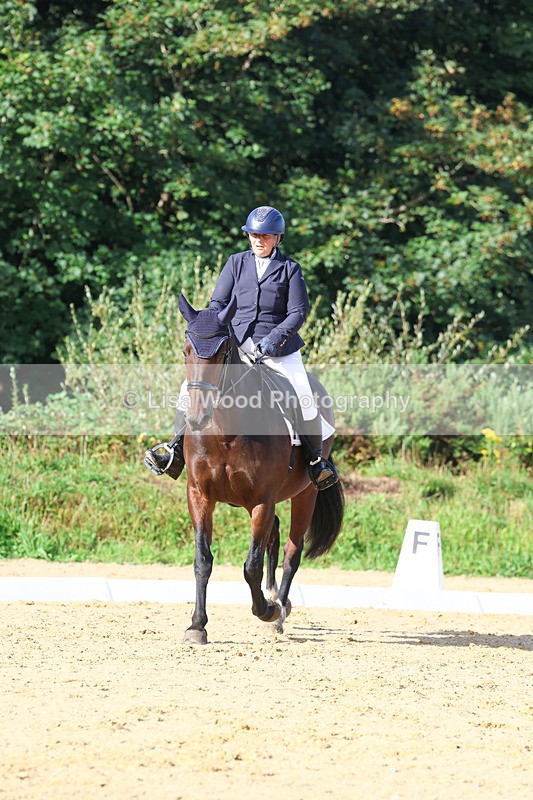 3E7A2057 - Class 1: Intro 4 2024 section A