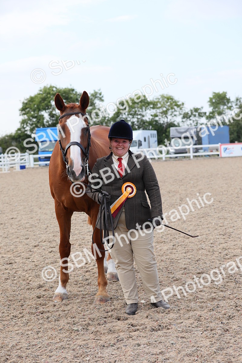 SBM_15865 - Class 312 IH Competition Horse/Pony