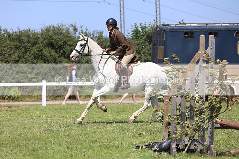 JPP_2697 - Class 21: Working Hunter 60cm