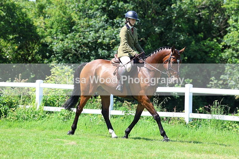 3E7A7162 - Class 30: Novice Working Hunter
