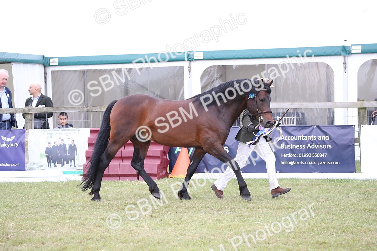 SBM_09768 - Ch 50 - Price Family Supreme In Hand