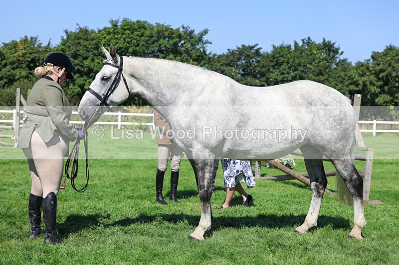 3E7A8475 - Class 4: Novice working Hunter