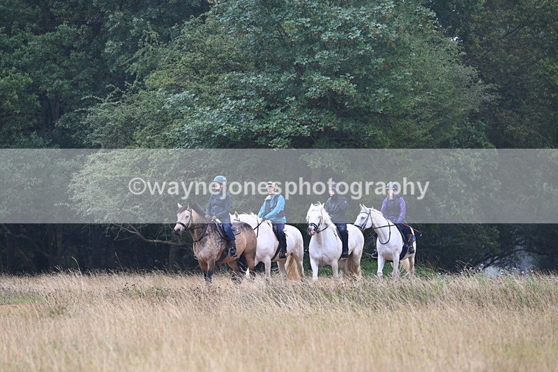 DSC_0874 - Time at Statue 10:58 to 11:53