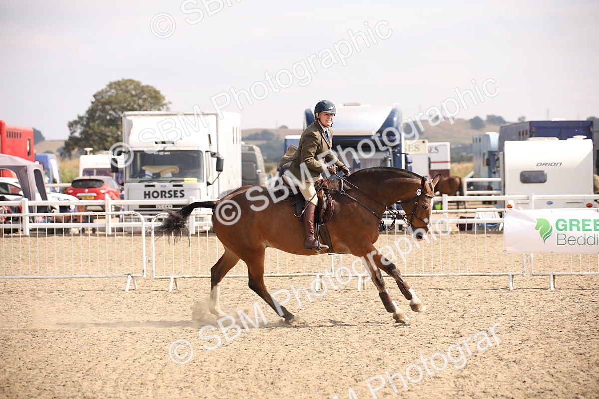 SBM_15031 - Class 408a - Working Veteran 70cm (15-19