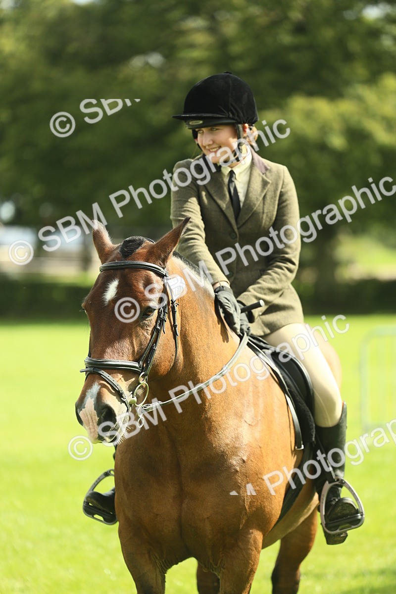 SBM_42144 - S29 - Novice & Newcomers Working Hunter Pony