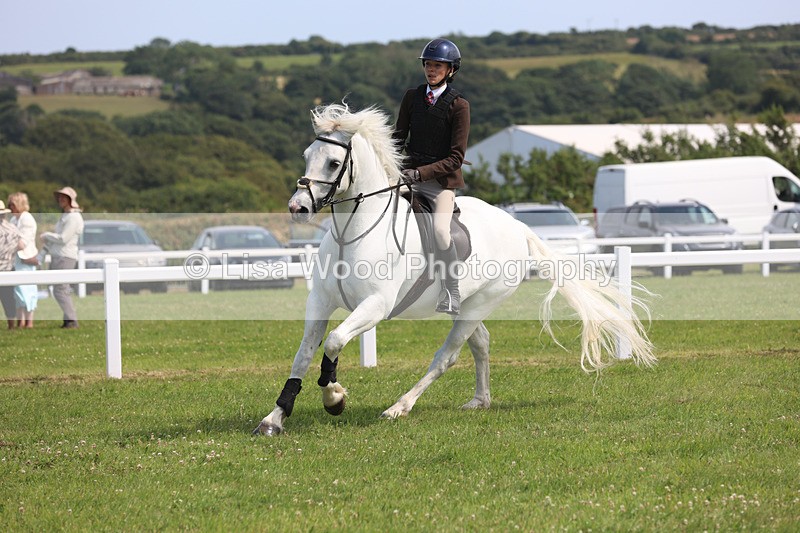 JPP_3707 - Class 23: Working Hunter 80cm