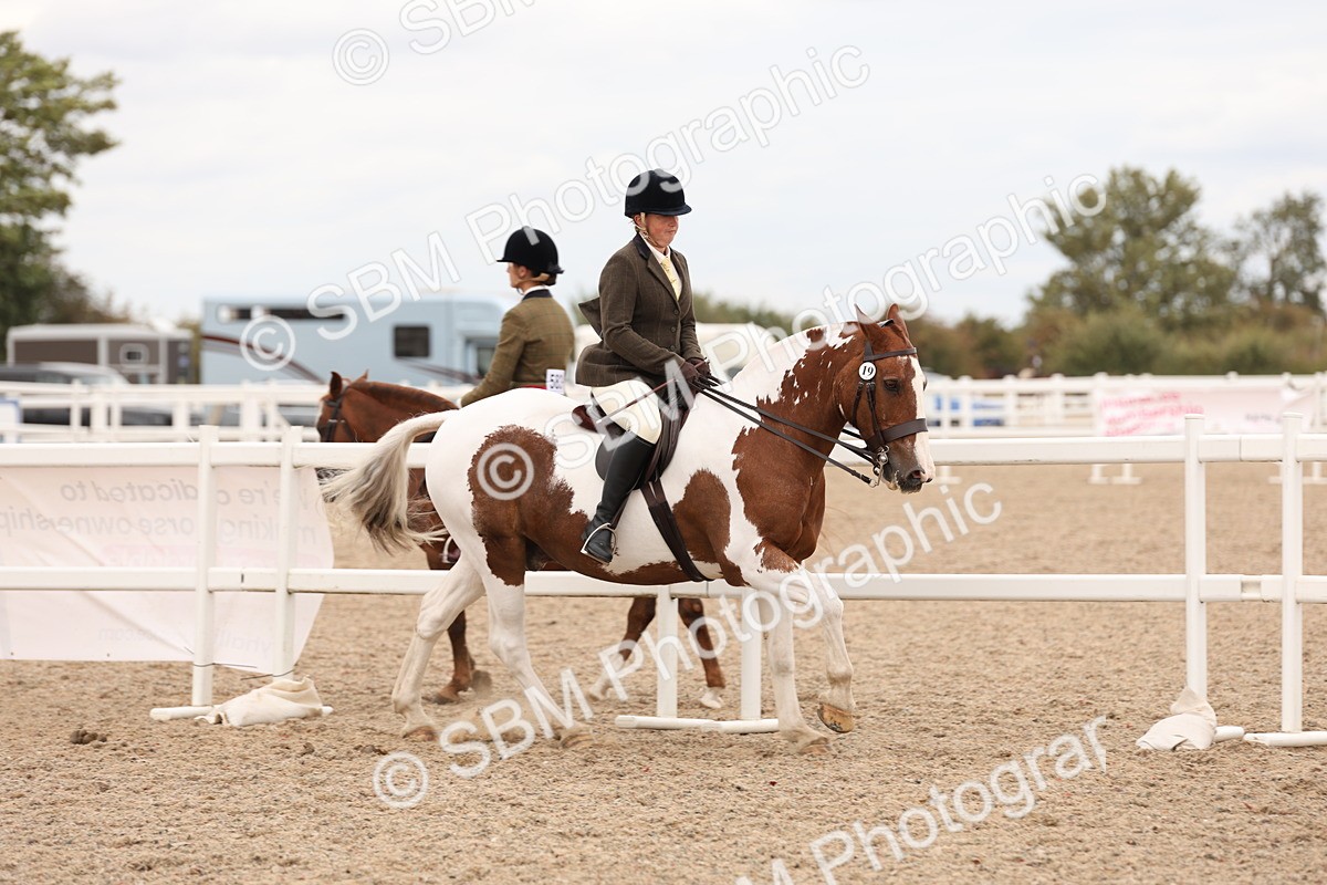 SBM_19542 - Class 215 - Ridden Show cob